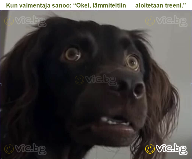 Kun valmentaja sanoo: “Okei, lämmiteltiin — aloitetaan treeni.”