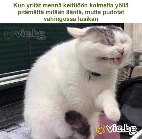 Kun yrität mennä keittiöön kolmelta yöllä pitämättä mitään ääntä, mutta pudotat vahingossa lusikan