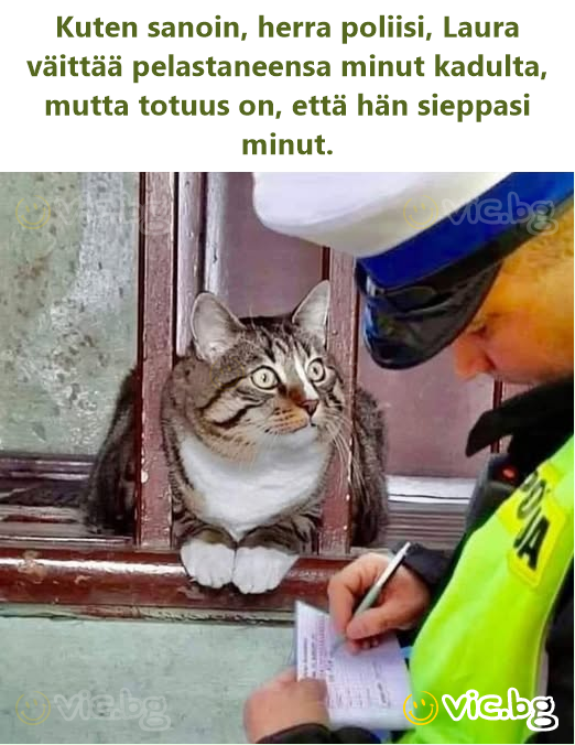 Kuten sanoin, herra poliisi, Laura väittää pelastaneensa minut kadulta, mutta totuus on, että hän sieppasi minut.