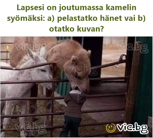Lapsesi on joutumassa kamelin syömäksi: a) pelastatko hänet vai b) otatko kuvan?