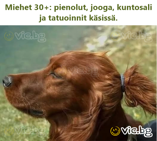 Miehet 30+: pienolut, jooga, kuntosali ja tatuoinnit käsissä.