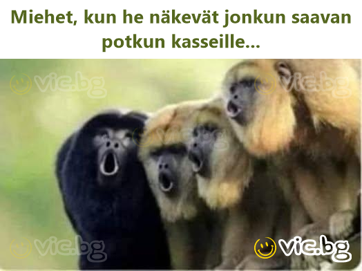 Miehet, kun he näkevät jonkun saavan potkun kasseille...