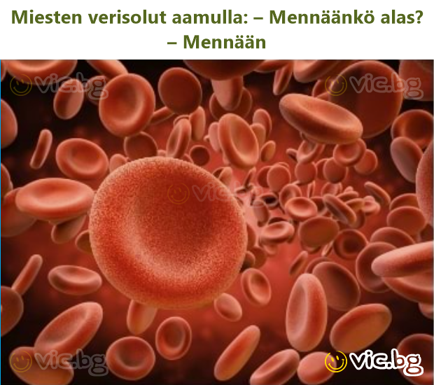 Miesten verisolut aamulla: – Mennäänkö alas? – Mennään