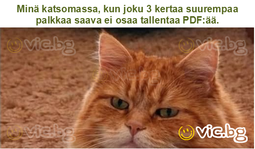 Minä katsomassa, kun joku 3 kertaa suurempaa palkkaa saava ei osaa tallentaa PDF:ää.