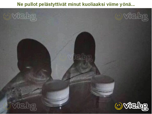 Ne pullot pelästyttivät minut kuoliaaksi viime yönä...