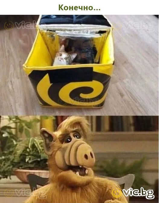 Pekka lähetti peniskuvan ystävänpäivänä