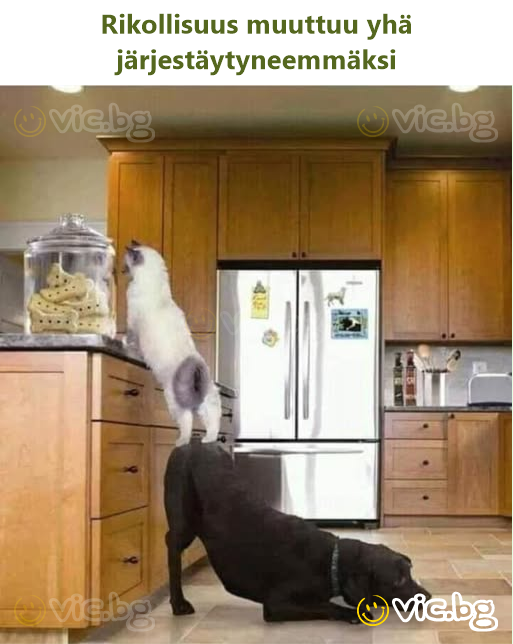 Rikollisuus muuttuu yhä järjestäytyneemmäksi