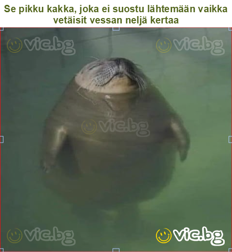 Se pikku kakka, joka ei suostu lähtemään vaikka vetäisit vessan neljä kertaa