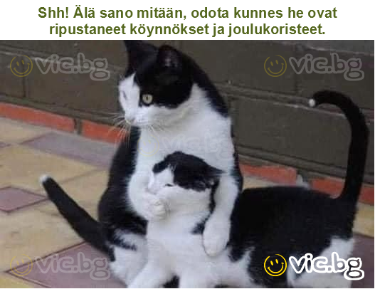 Shh! Älä sano mitään, odota kunnes he ovat ripustaneet köynnökset ja joulukoristeet.