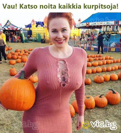 Vau! Katso noita kaikkia kurpitsoja!