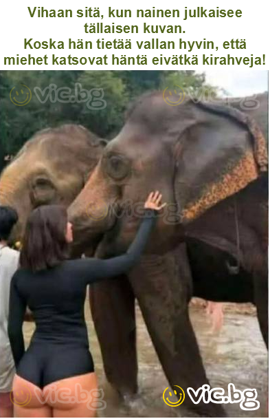 Vihaan sitä, kun nainen julkaisee tällaisen kuvan.
Koska hän tietää vallan hyvin, että miehet katsovat häntä eivätkä kirahveja!