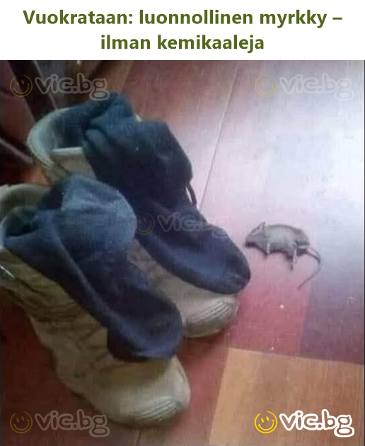 Vuokrataan: luonnollinen myrkky – ilman kemikaaleja