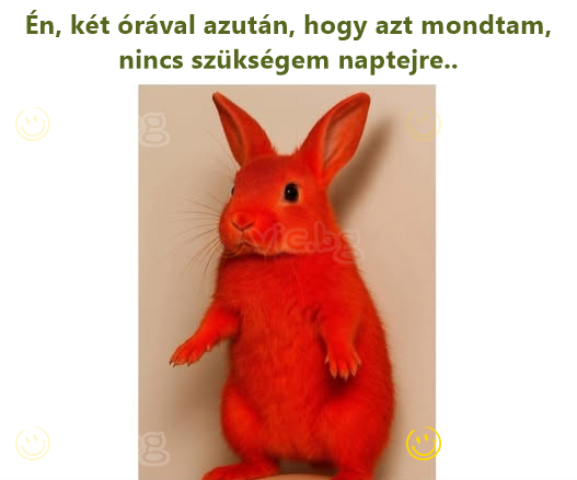 Én, két órával azután, hogy azt mondtam, nincs szükségem naptejre..