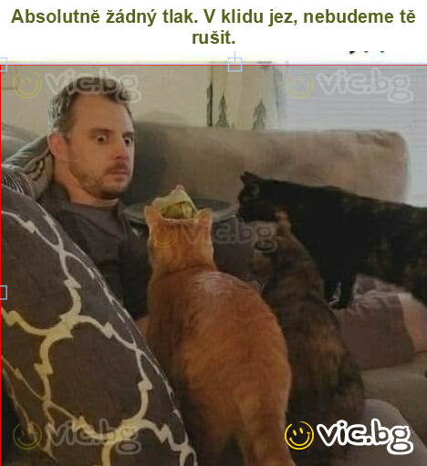 Absolutně žádný tlak. V klidu jez, nebudeme tě rušit.