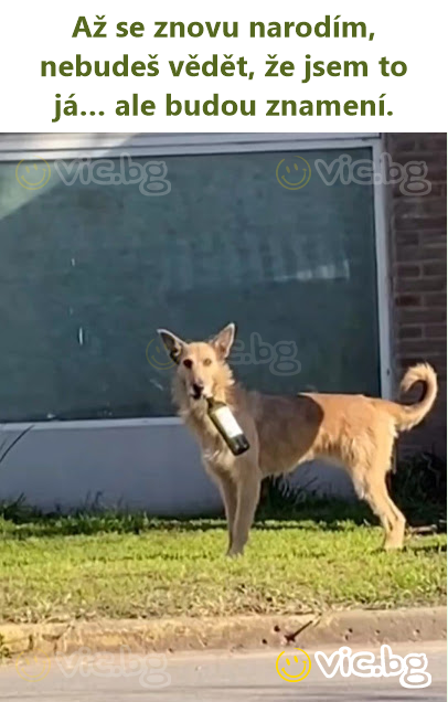 Až se znovu narodím, nebudeš vědět, že jsem to já… ale budou znamení.