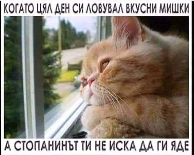 Babičky na Halloween: