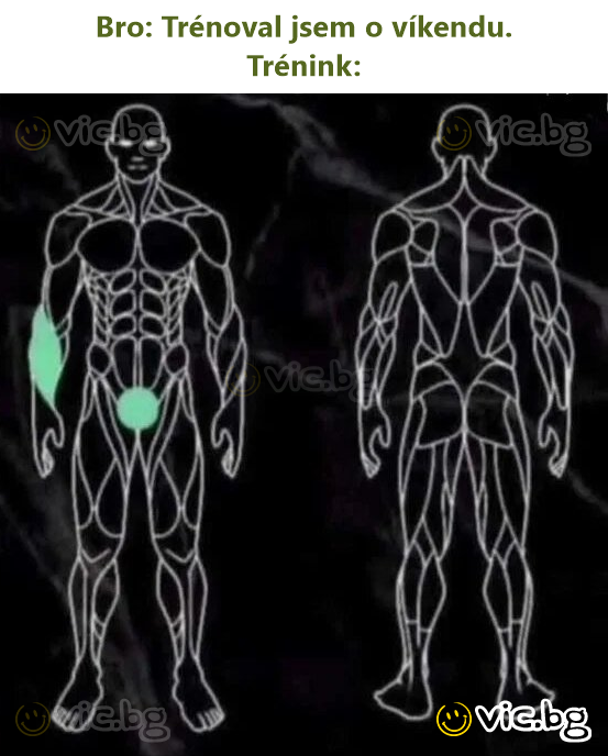 Bro: Trénoval jsem o víkendu. Trénink: