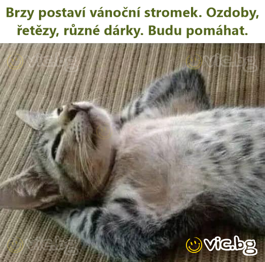 Brzy postaví vánoční stromek. Ozdoby, řetězy, různé dárky. Budu pomáhat.
