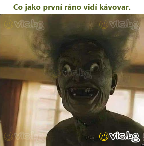 Co jako první ráno vidí kávovar.