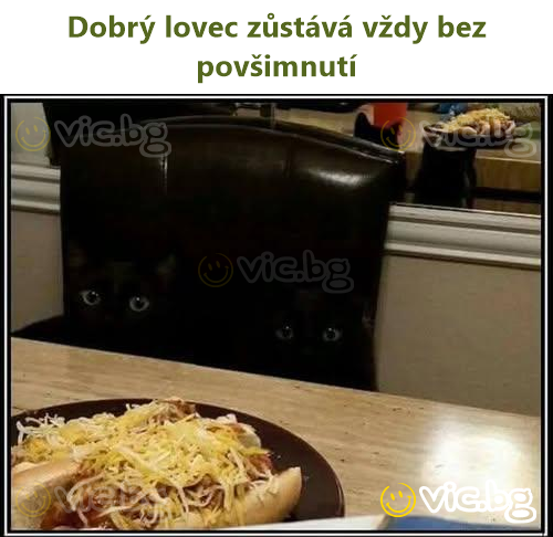 Dobrý lovec zůstává vždy bez povšimnutí