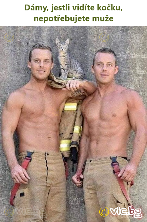 Dámy, jestli vidíte kočku, nepotřebujete muže