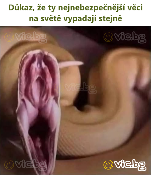 Důkaz, že ty nejnebezpečnější věci na světě vypadají stejně