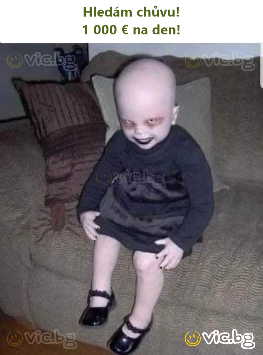 Hledám chůvu! 1 000 € na den!