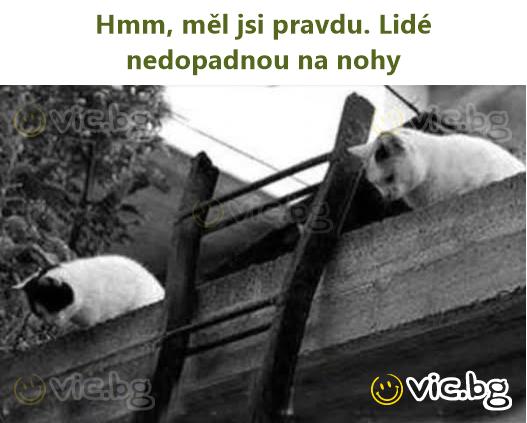 Hmm, měl jsi pravdu. Lidé nedopadnou na nohy