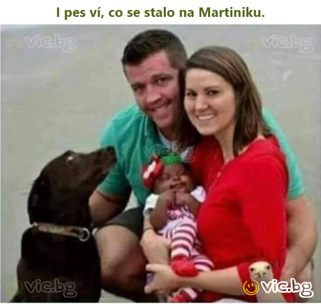 I pes ví, co se stalo na Martiniku.