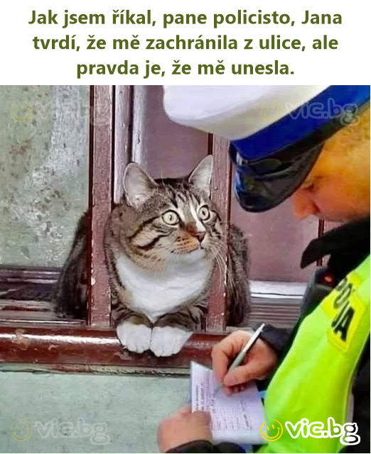 Jak jsem říkal, pane policisto, Jana tvrdí, že mě zachránila z ulice, ale pravda je, že mě unesla.
