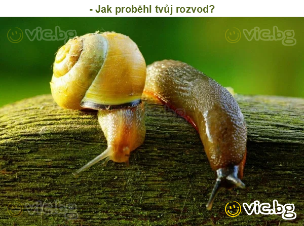 - Jak proběhl tvůj rozvod?