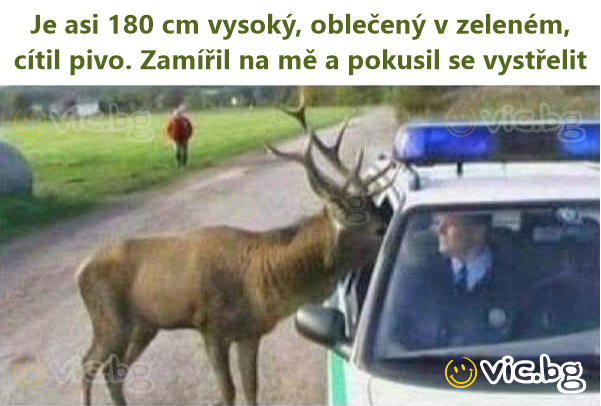 Je asi 180 cm vysoký, oblečený v zeleném, cítil pivo. Zamířil na mě a pokusil se vystřelit