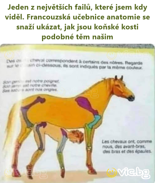 Jeden z největších failů, které jsem kdy viděl. Francouzská učebnice anatomie se snaží ukázat, jak jsou koňské kosti podobné těm našim