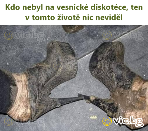 Kdo nebyl na vesnické diskotéce, ten v tomto životě nic neviděl