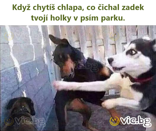 Když chytíš chlapa, co čichal zadek tvojí holky v psím parku.