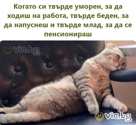 Když jsi příliš unavený jít do práce, příliš chudý na to, abys dal výpověď, a příliš mladý na důchod