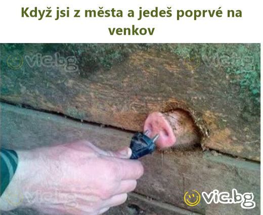Když jsi z města a jedeš poprvé na venkov
