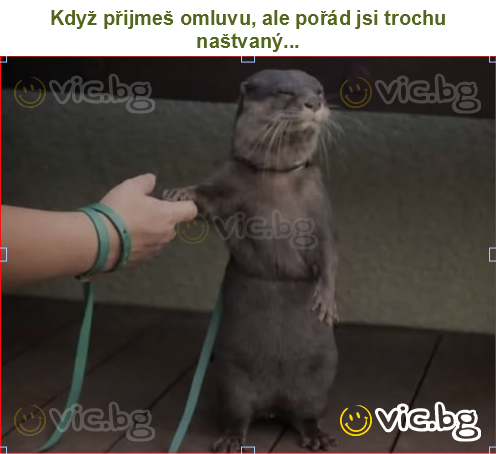 Když přijmeš omluvu, ale pořád jsi trochu naštvaný...