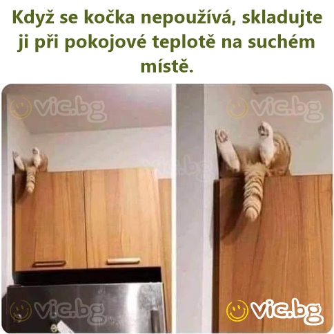 Když se kočka nepoužívá, skladujte ji při pokojové teplotě na suchém místě.