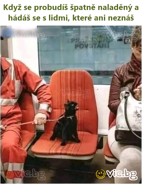 Když se probudíš špatně naladěný a hádáš se s lidmi, které ani neznáš