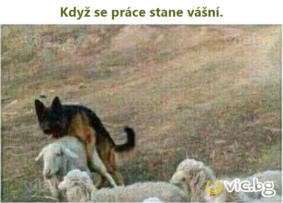 Když se práce stane vášní.