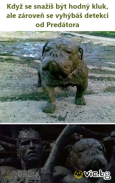 Když se snažíš být hodný kluk, ale zároveň se vyhýbáš detekci od Predátora