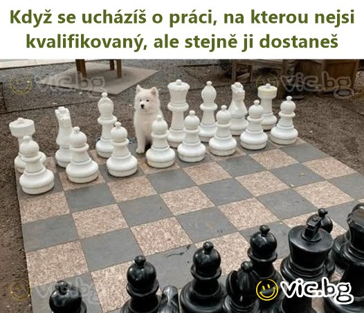Když se ucházíš o práci, na kterou nejsi kvalifikovaný, ale stejně ji dostaneš
