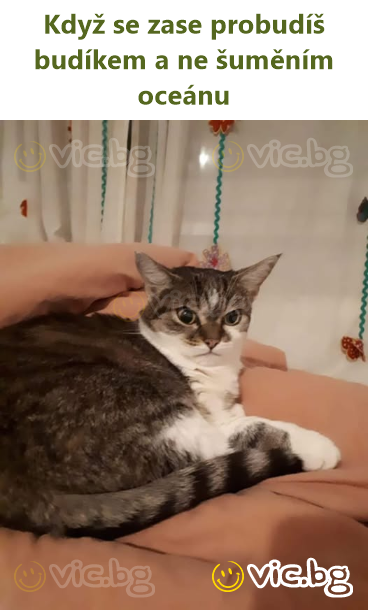 Když se zase probudíš budíkem a ne šuměním oceánu