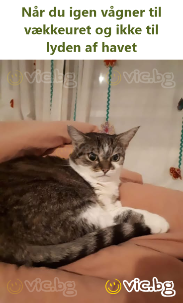 Když se zase probudíš budíkem a ne šuměním oceánu