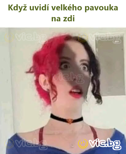 Když uvidí velkého pavouka na zdi