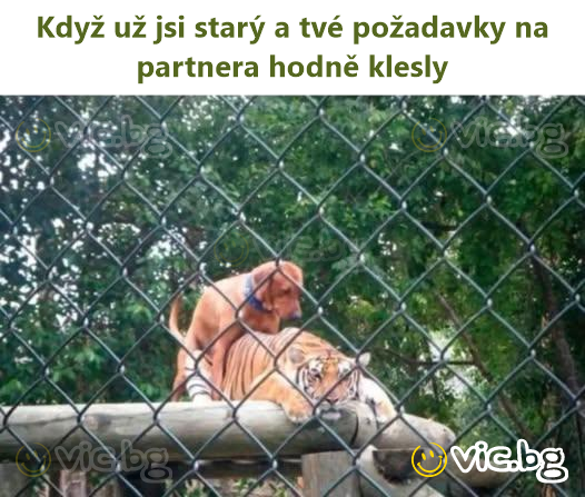 Když už jsi starý a tvé požadavky na partnera hodně klesly