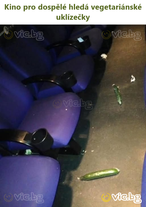 Kino pro dospělé hledá vegetariánské uklízečky