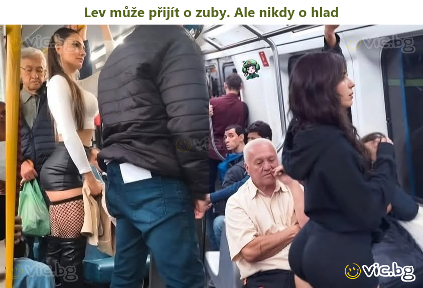 Lev může přijít o zuby. Ale nikdy o hlad