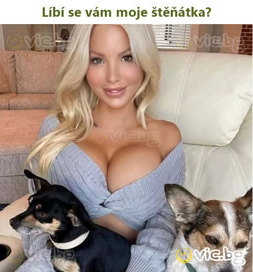 Líbí se vám moje štěňátka?